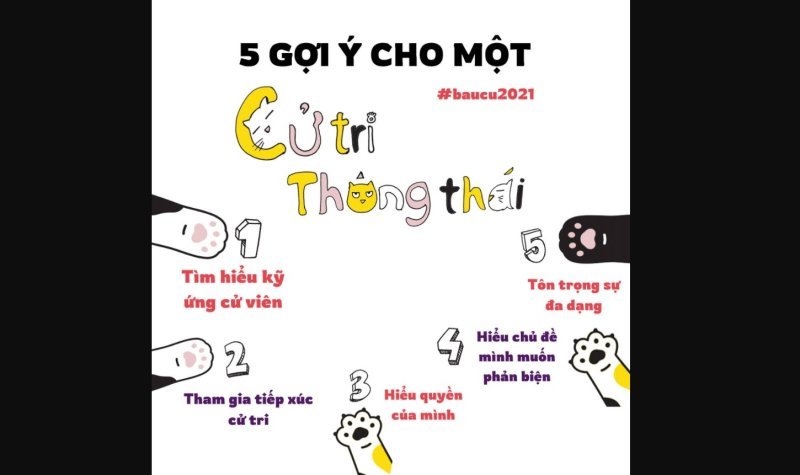 Bạn có nhiều lựa chọn hơn là thuần túy tẩy chay cuộc bầu cử. Ảnh minh họa của N.D.