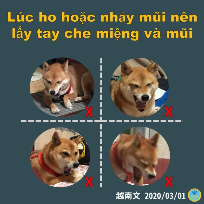 Bức ảnh tuyên truyền phiên bản tiếng Việt về cách thức phòng dịch bệnh lây lan. Nguồn: Trang Facebook Bộ Y tế Đài Loan.